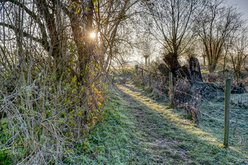 Morning Sun - бесплатный image #466611